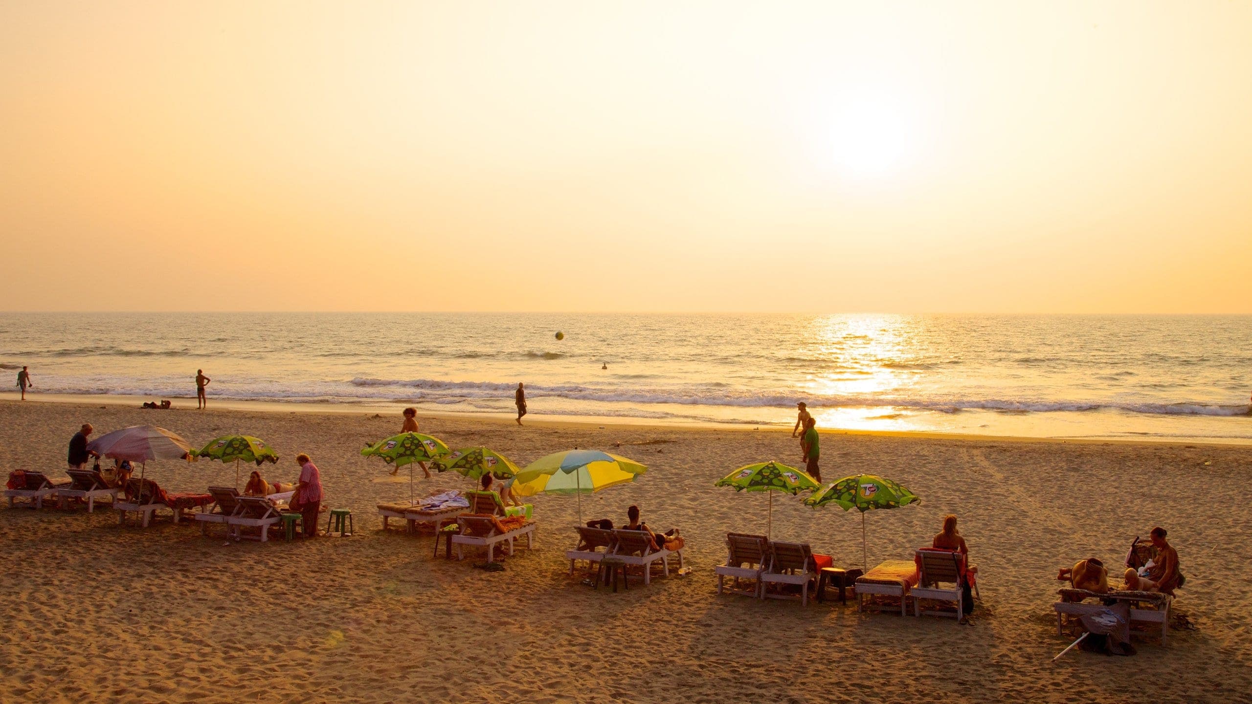 Volunteer In Arambol