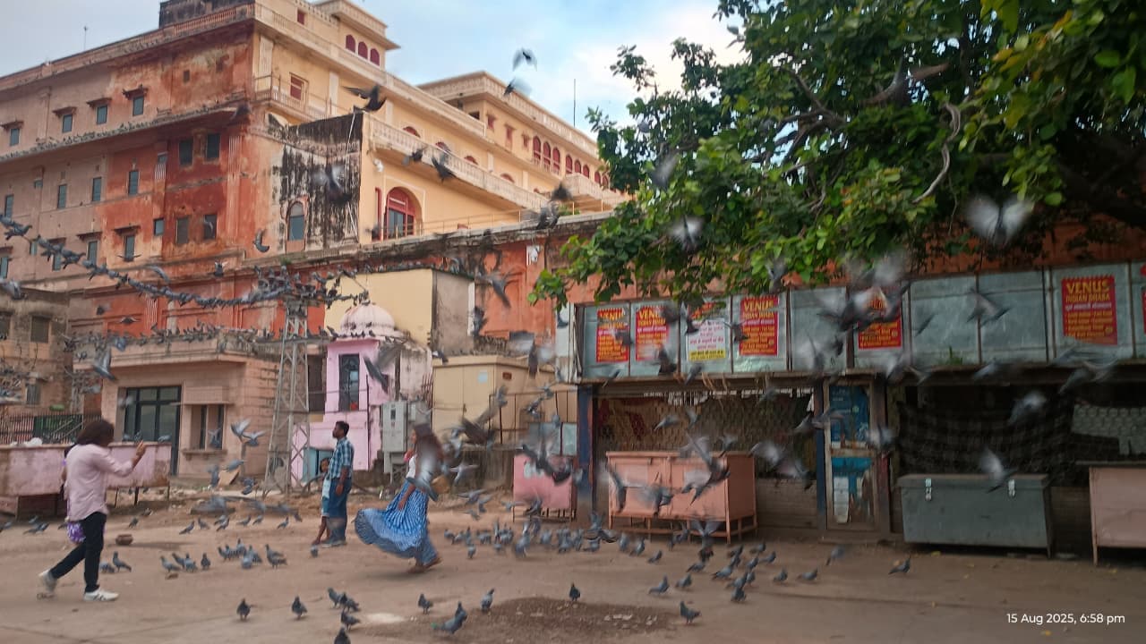 Jaipur Diaries: A Traveller’s Experience in Rajasthan’s Royal Capital image 3