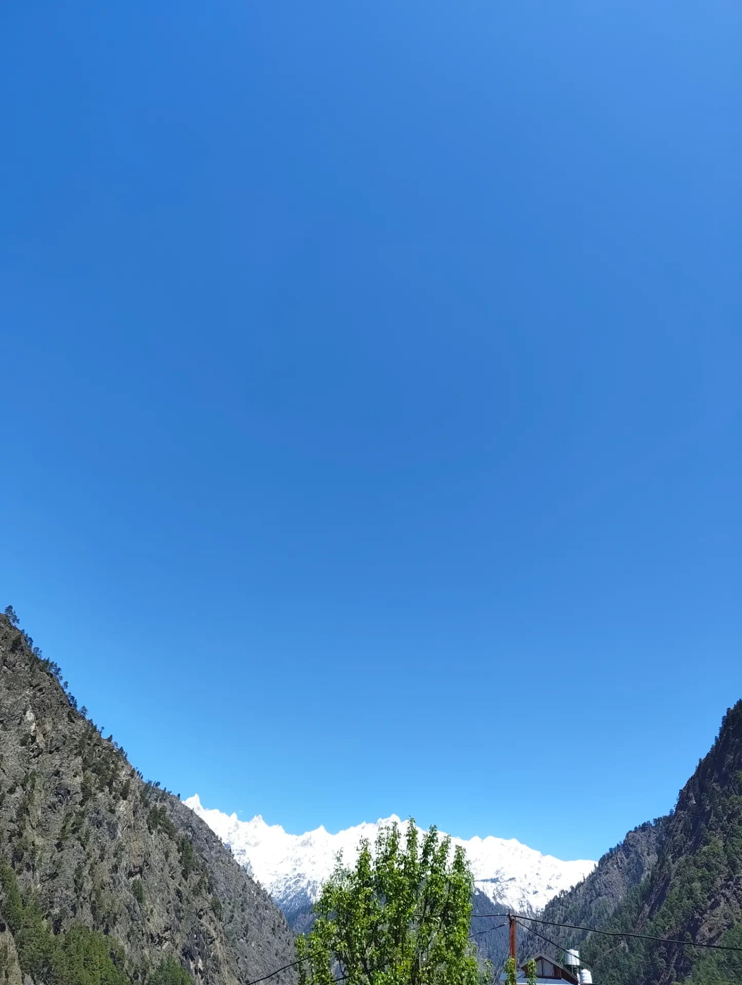 Cook required for homestay