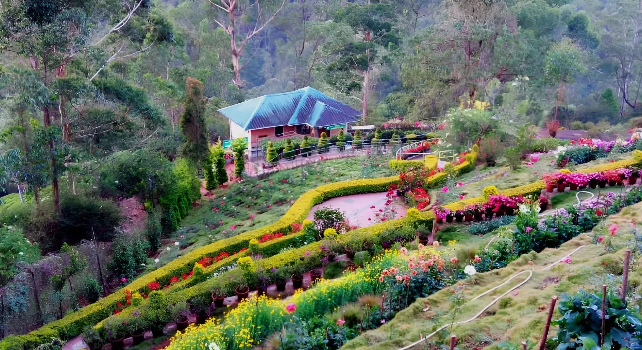 Kerala Group Escape: Backwaters, Hills & Tropical Bliss