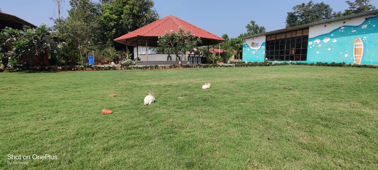 opportunity carousal item