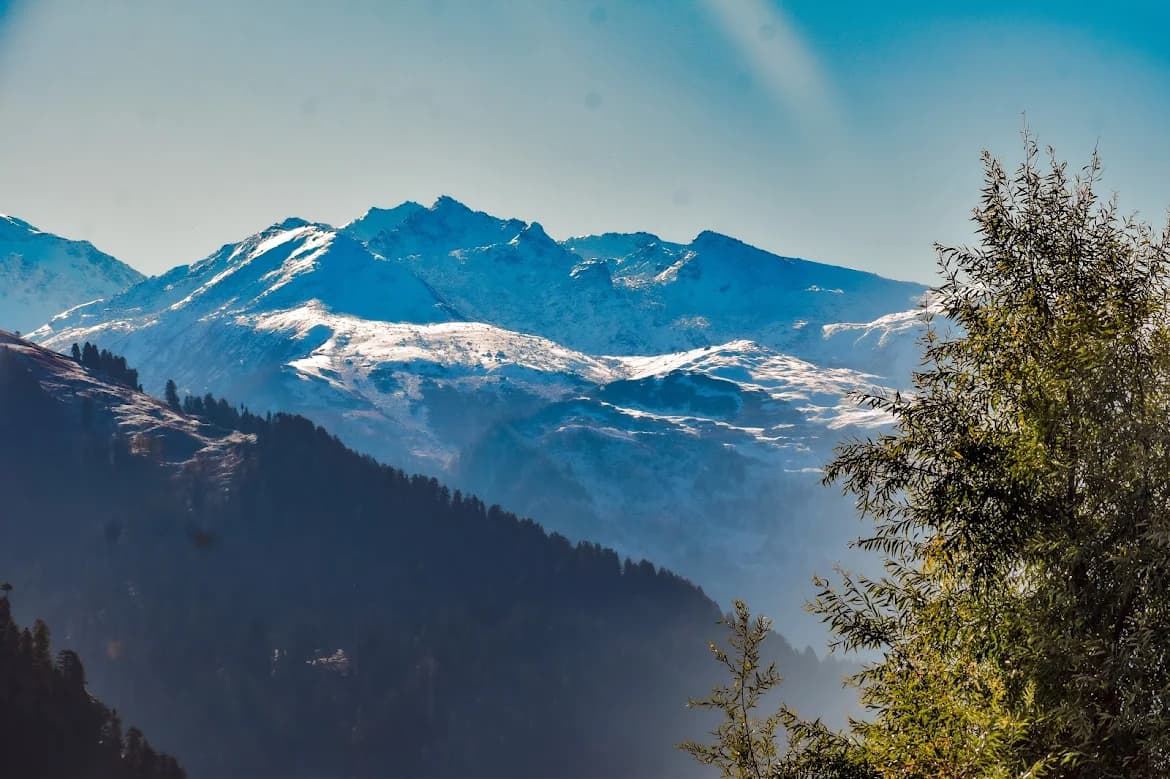 opportunity carousal item