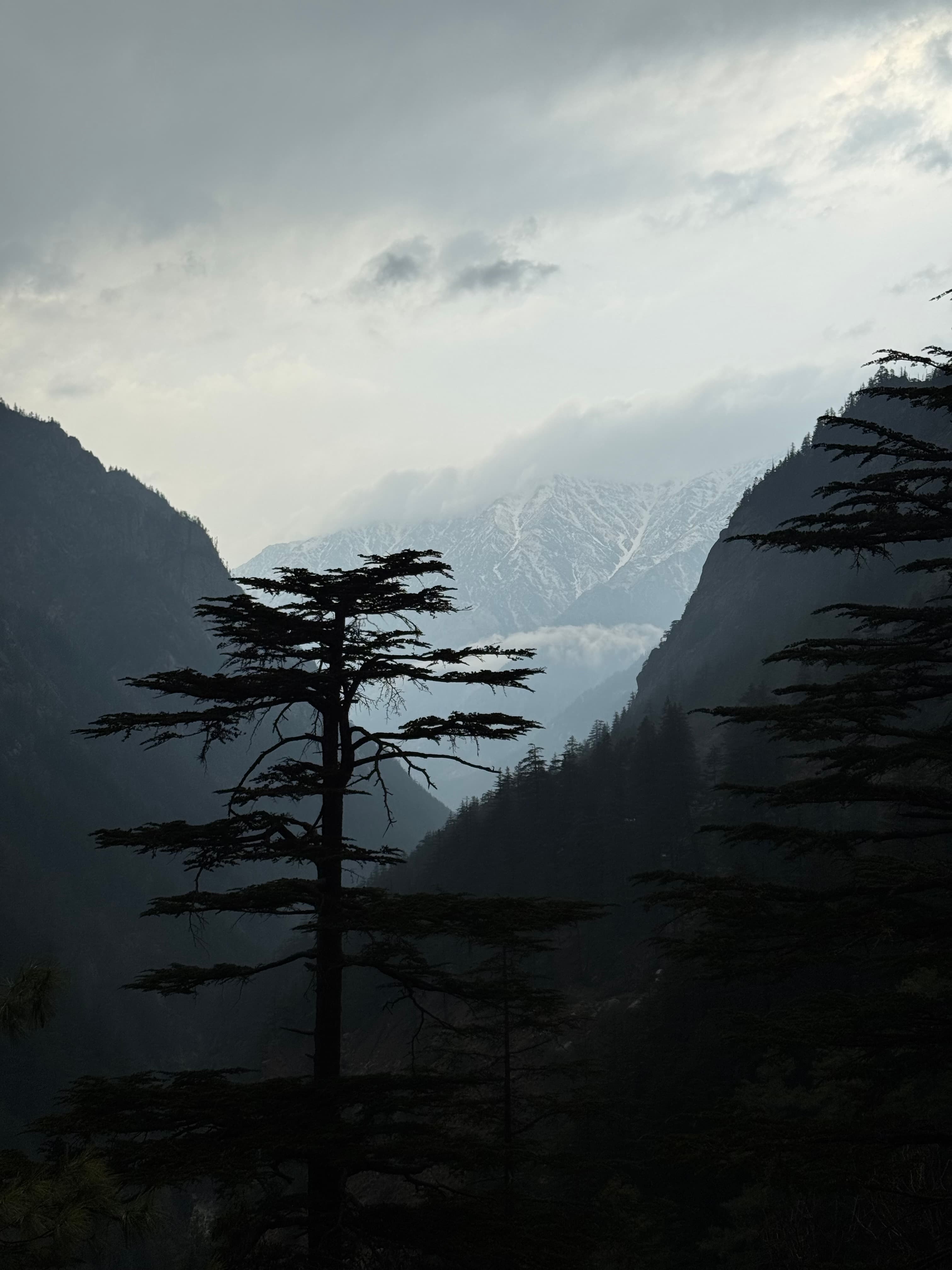 Through My Lens: Capturing Journeys Beyond Destinations image 2