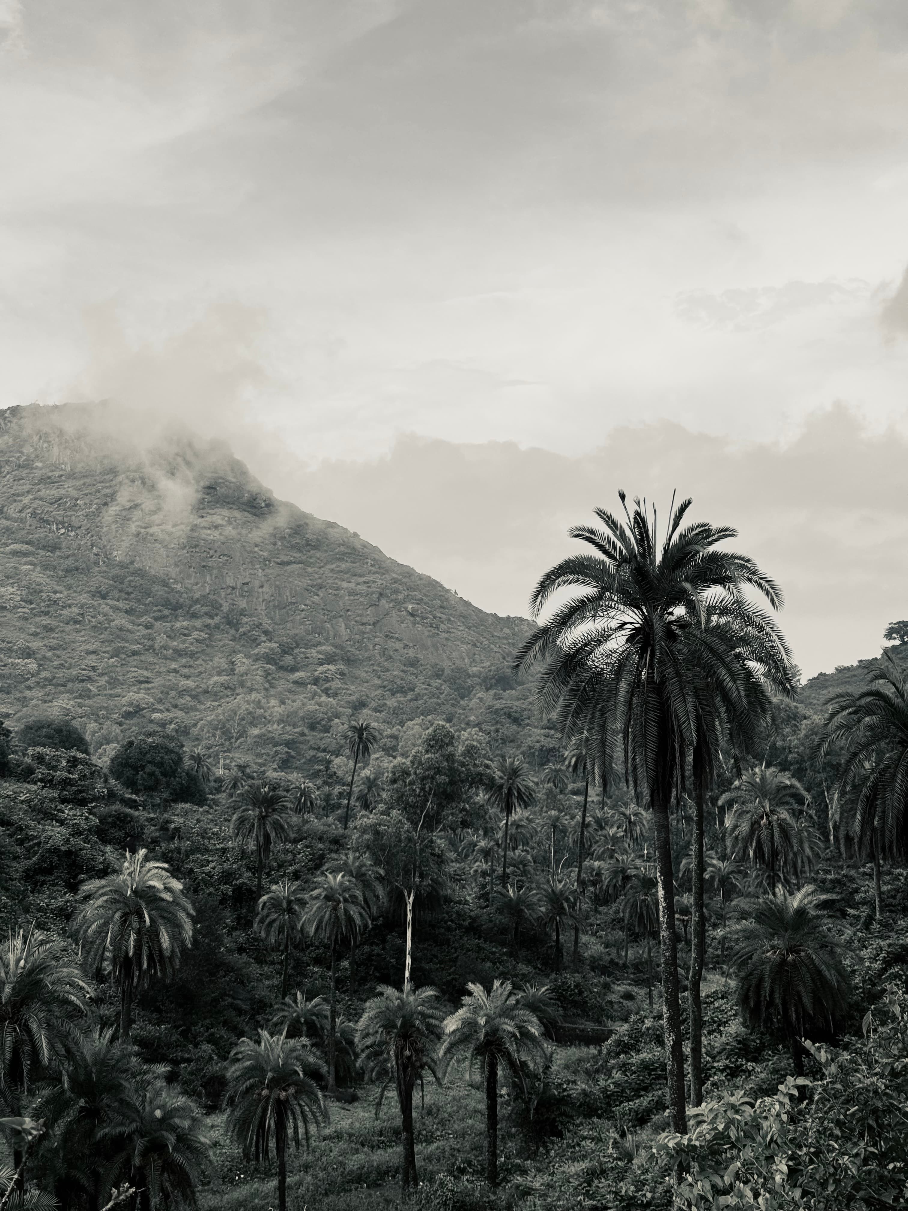 Through My Lens: Capturing Journeys Beyond Destinations image 5