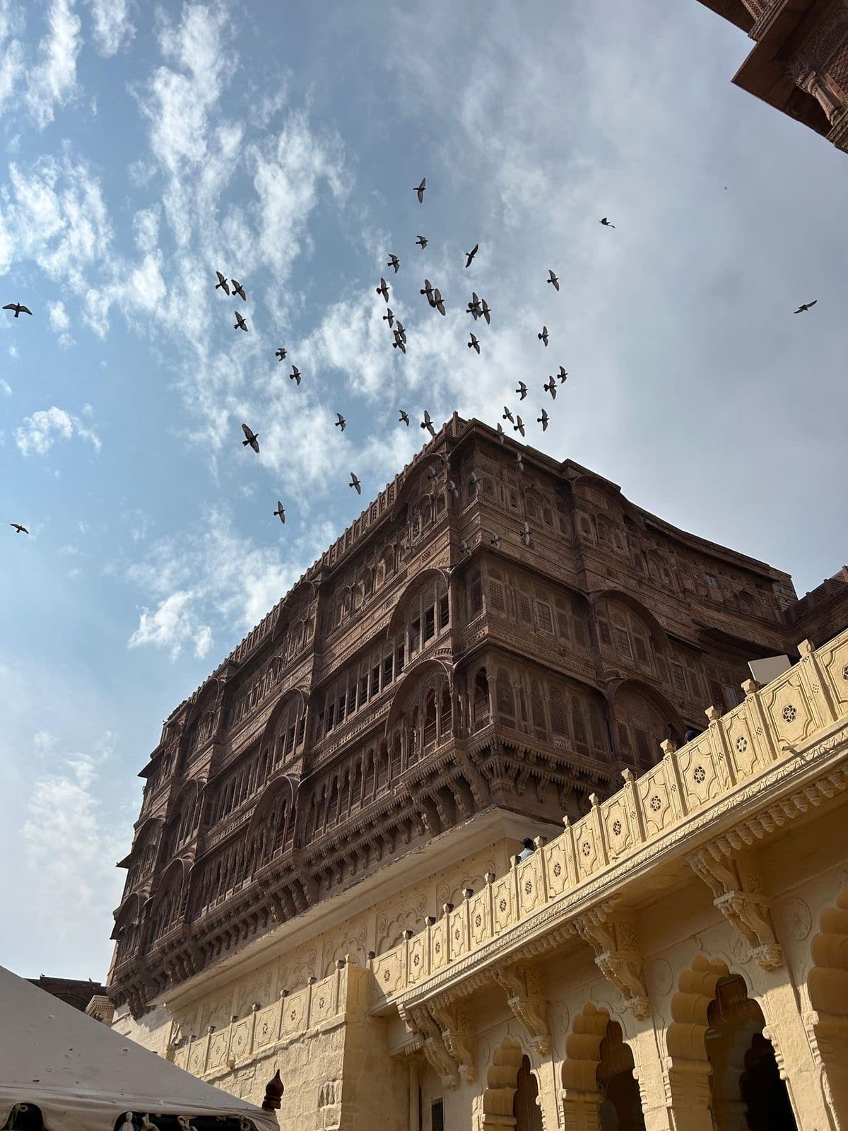 Through My Lens: Capturing Journeys Beyond Destinations image 7