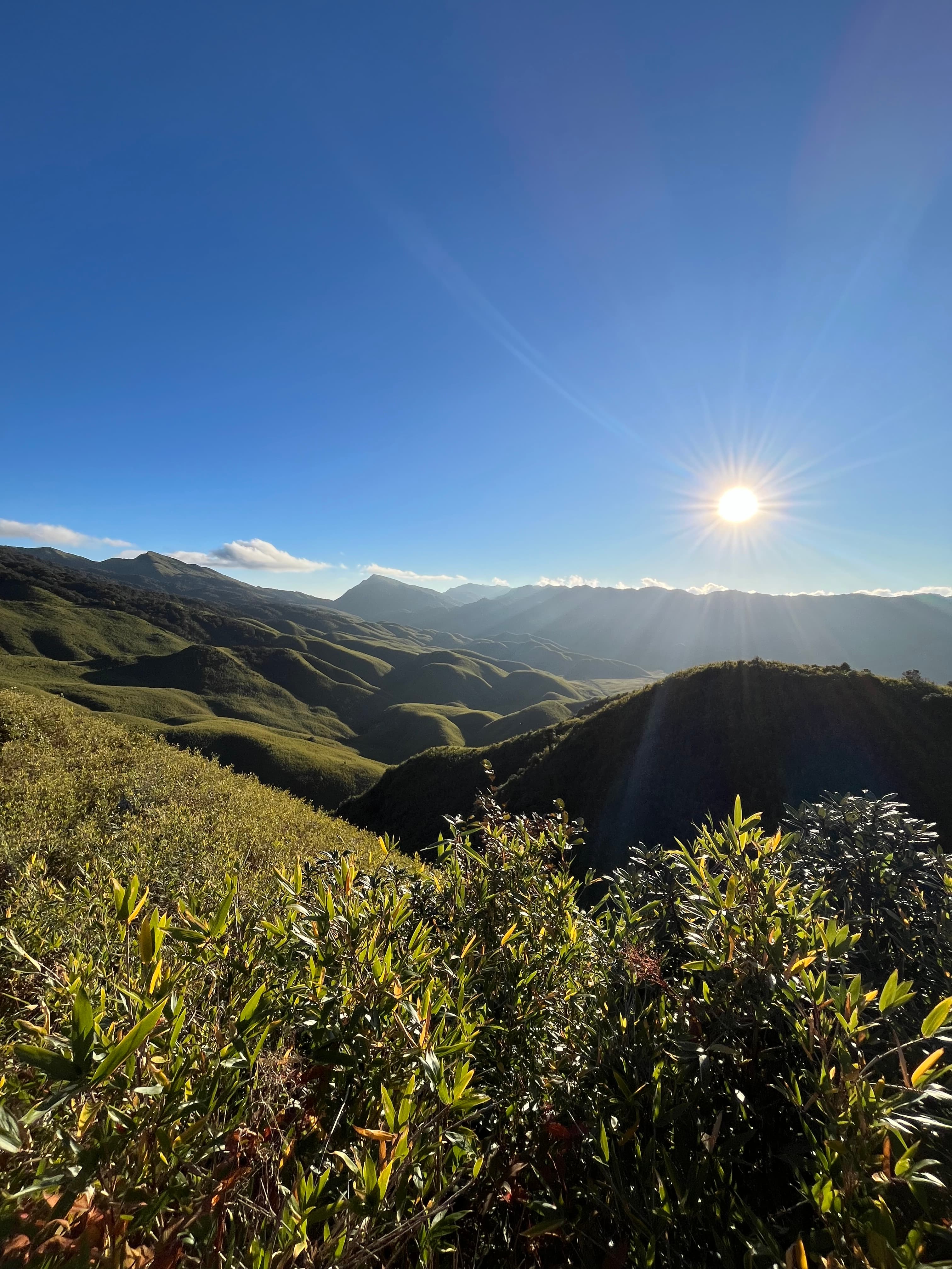 My Journey Through the Soul of Nagaland image 4