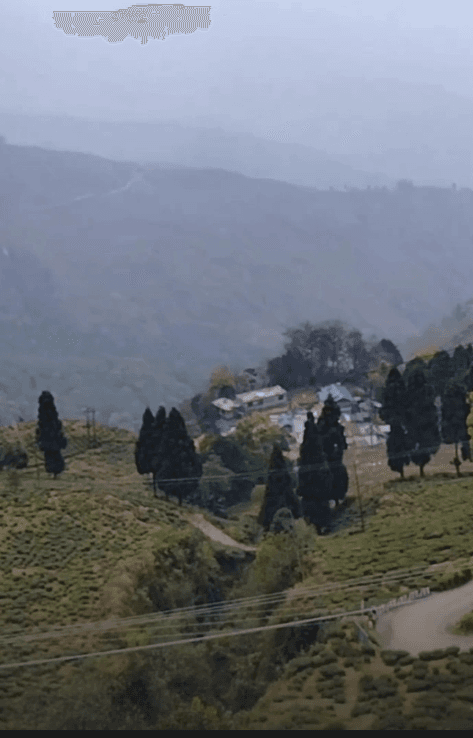 Darjeeling – The Queen of the Hills