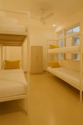 Singer as Volunteer in rishikesh