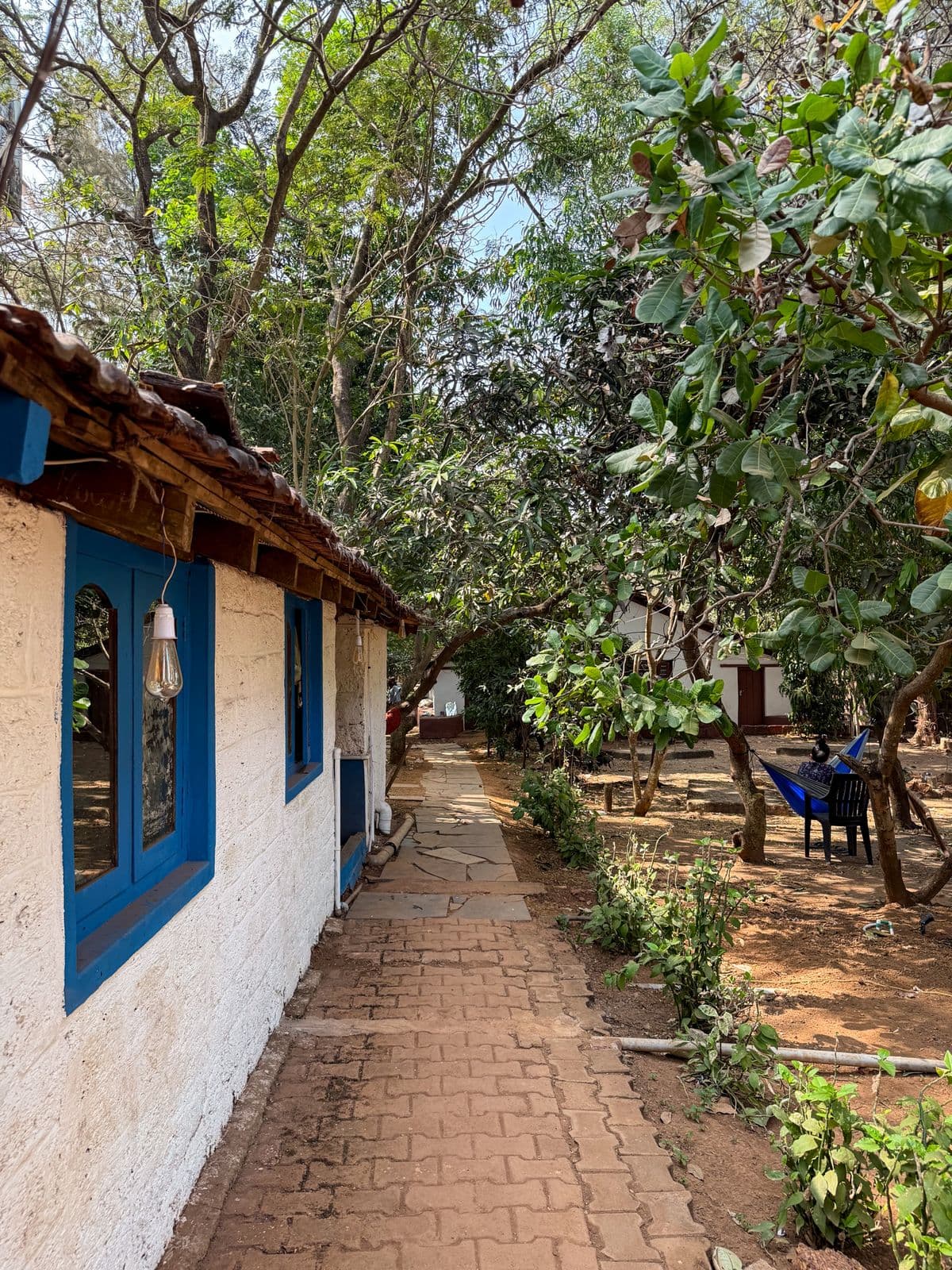 opportunity carousal item