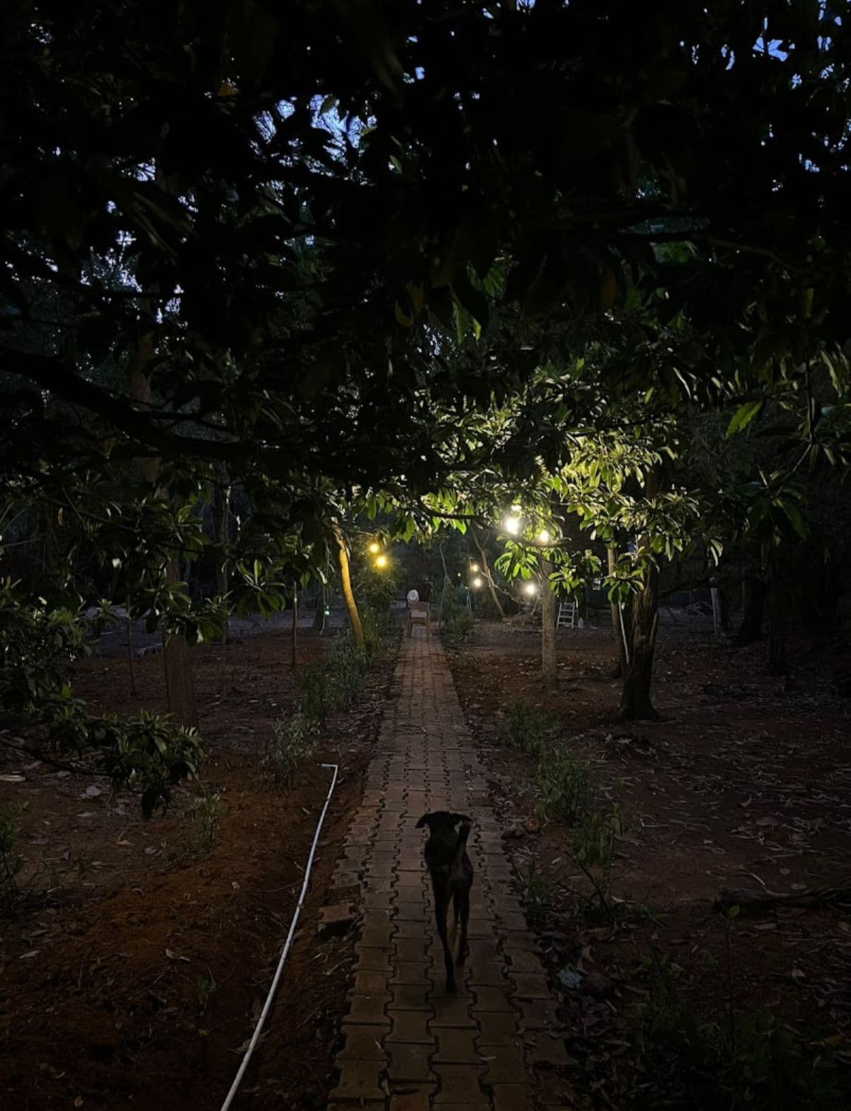 opportunity carousal item