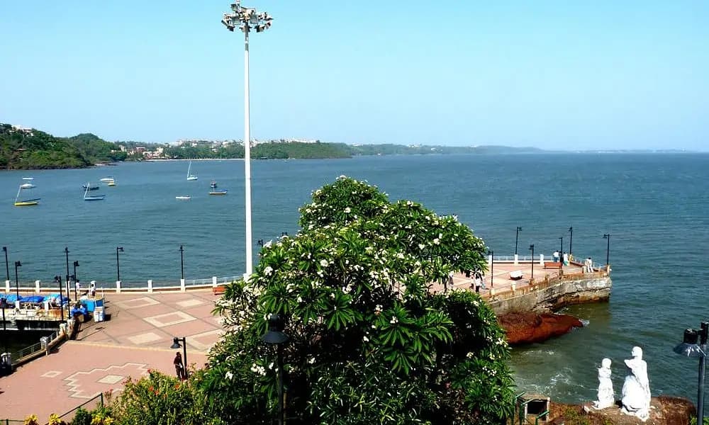 opportunity carousal item