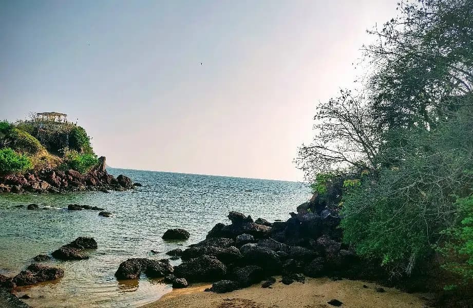 opportunity carousal item