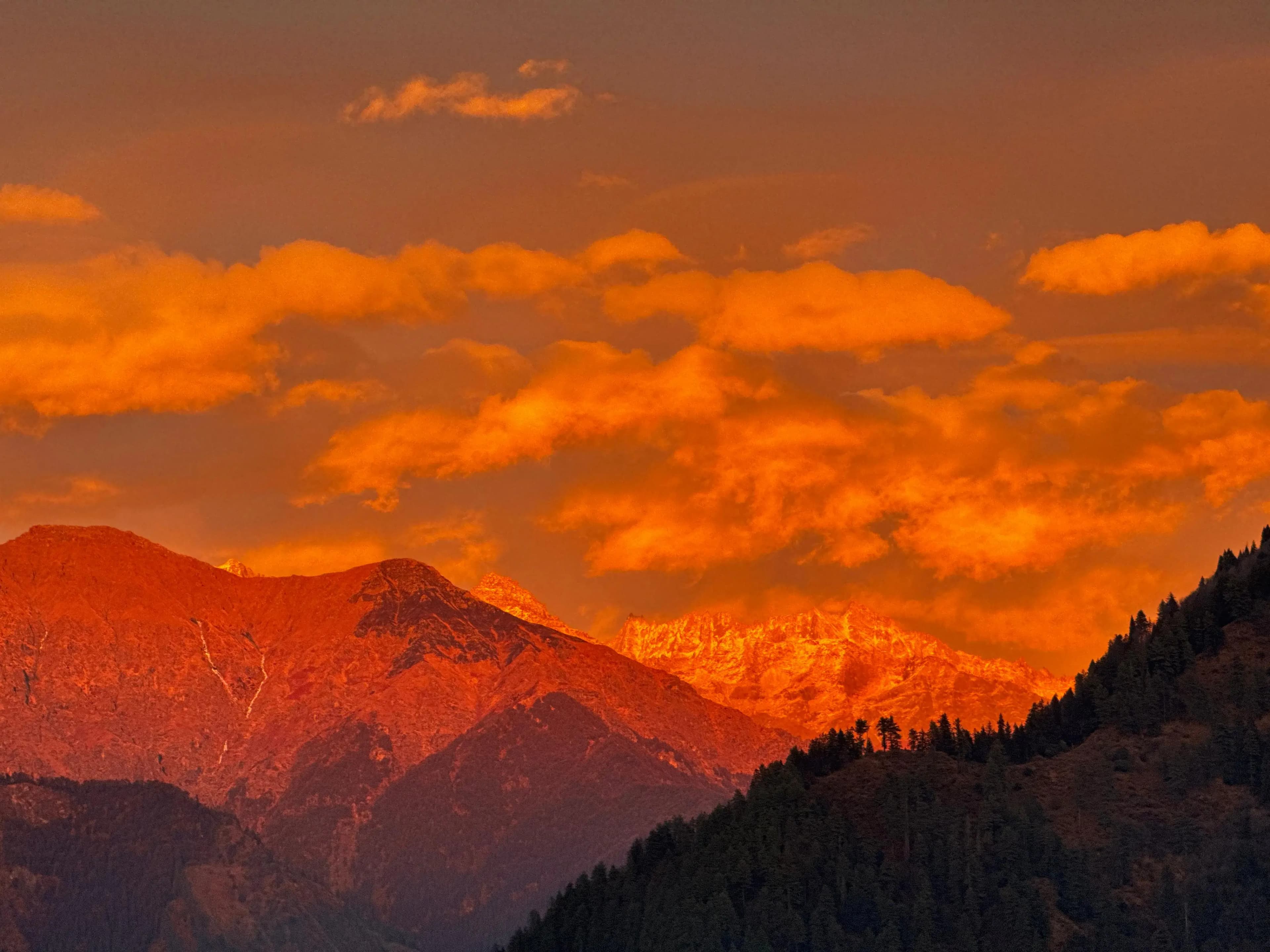 opportunity carousal item