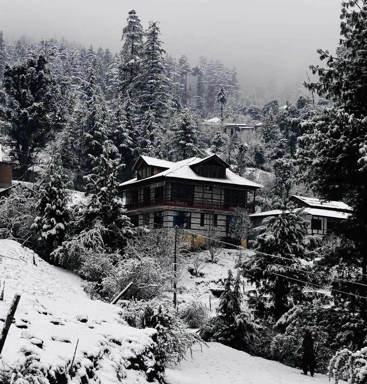 opportunity carousal item