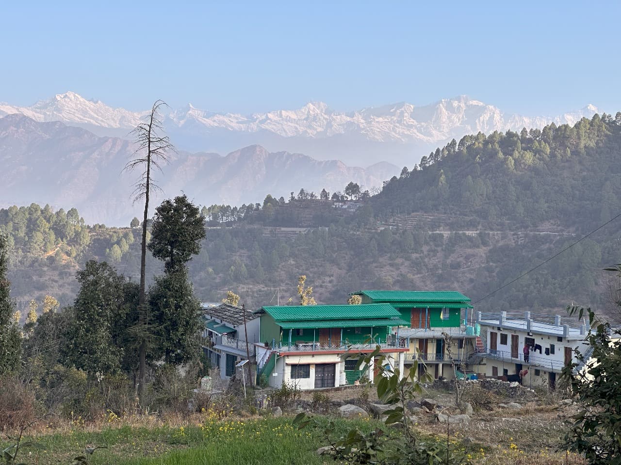 opportunity carousal item