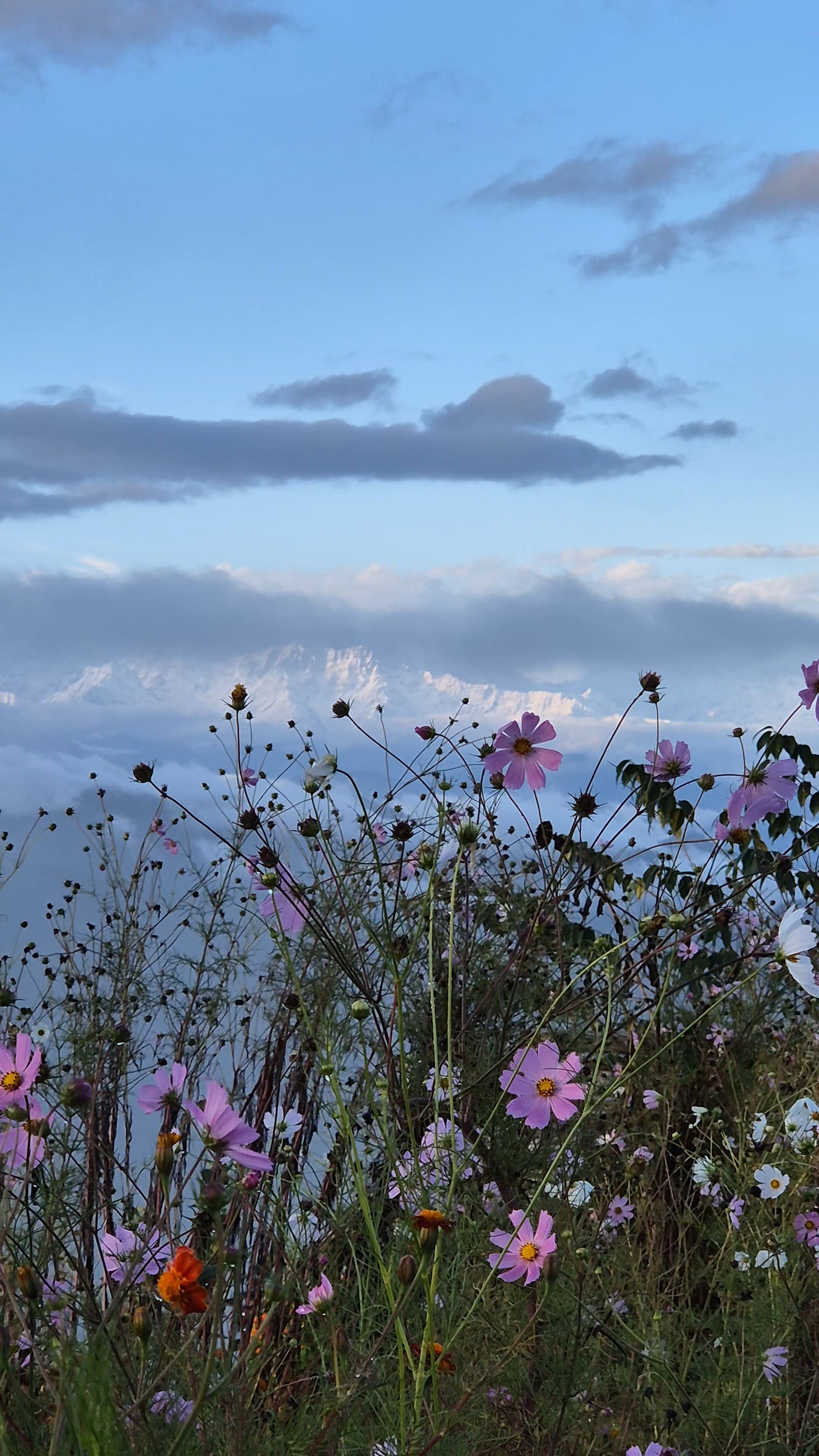 opportunity carousal item