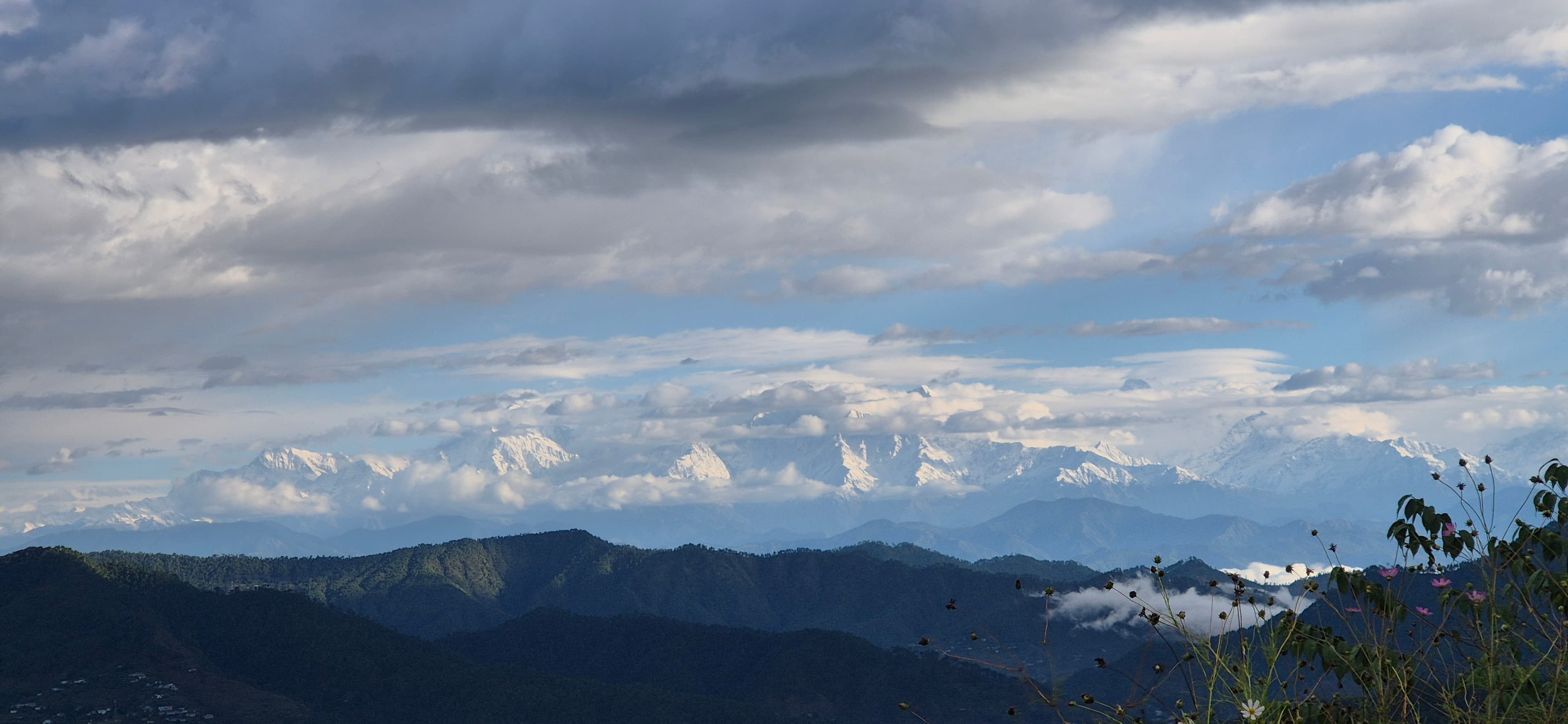 opportunity carousal item