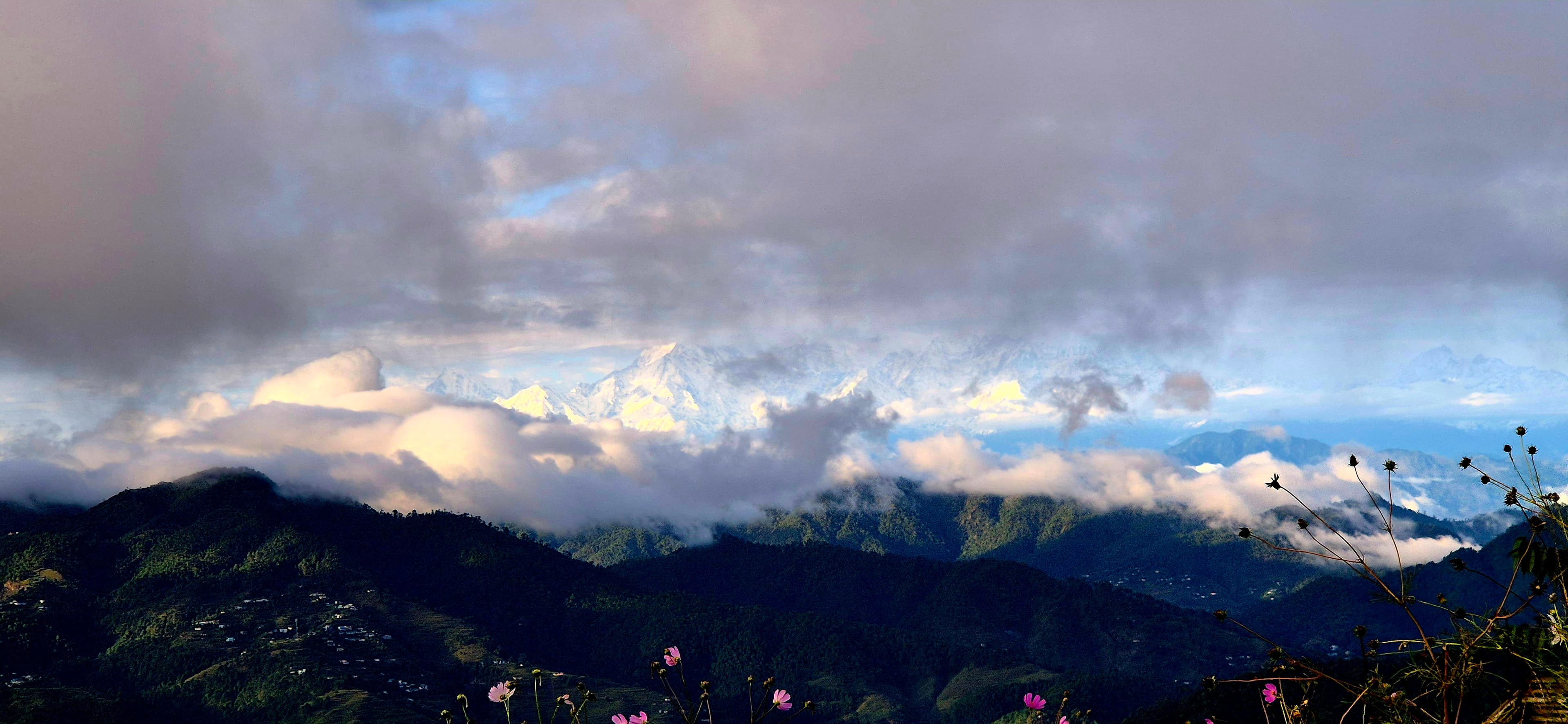 opportunity carousal item