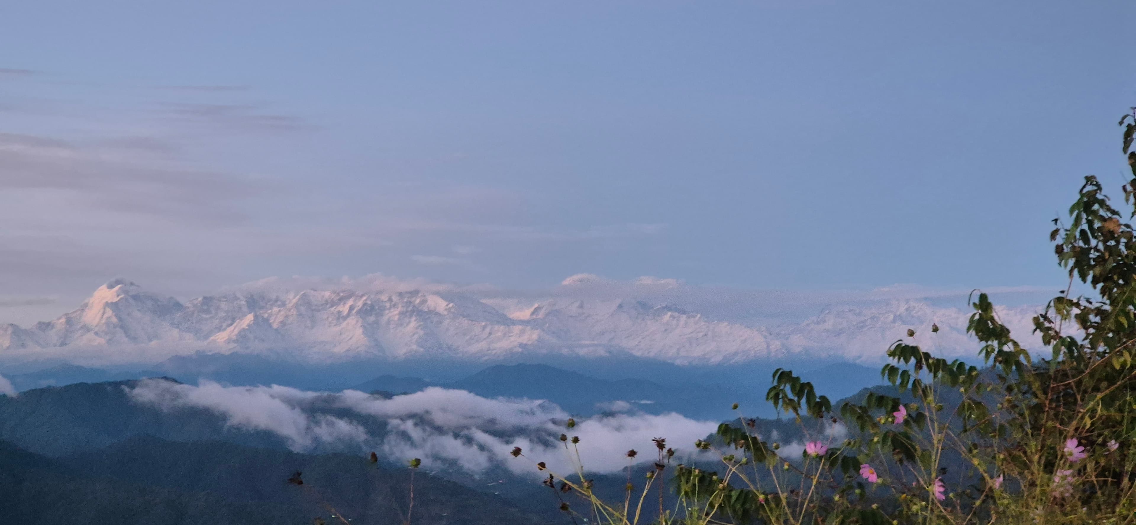 opportunity carousal item