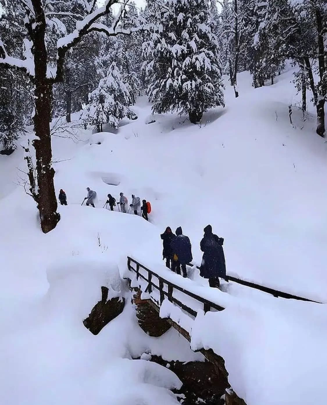 travel package image