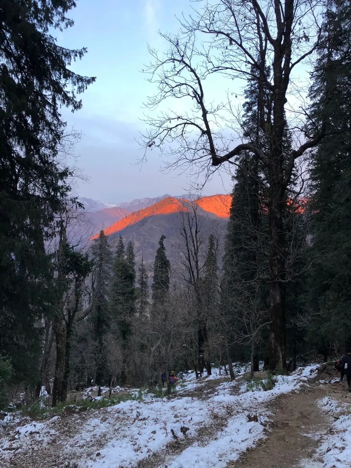 travel package image